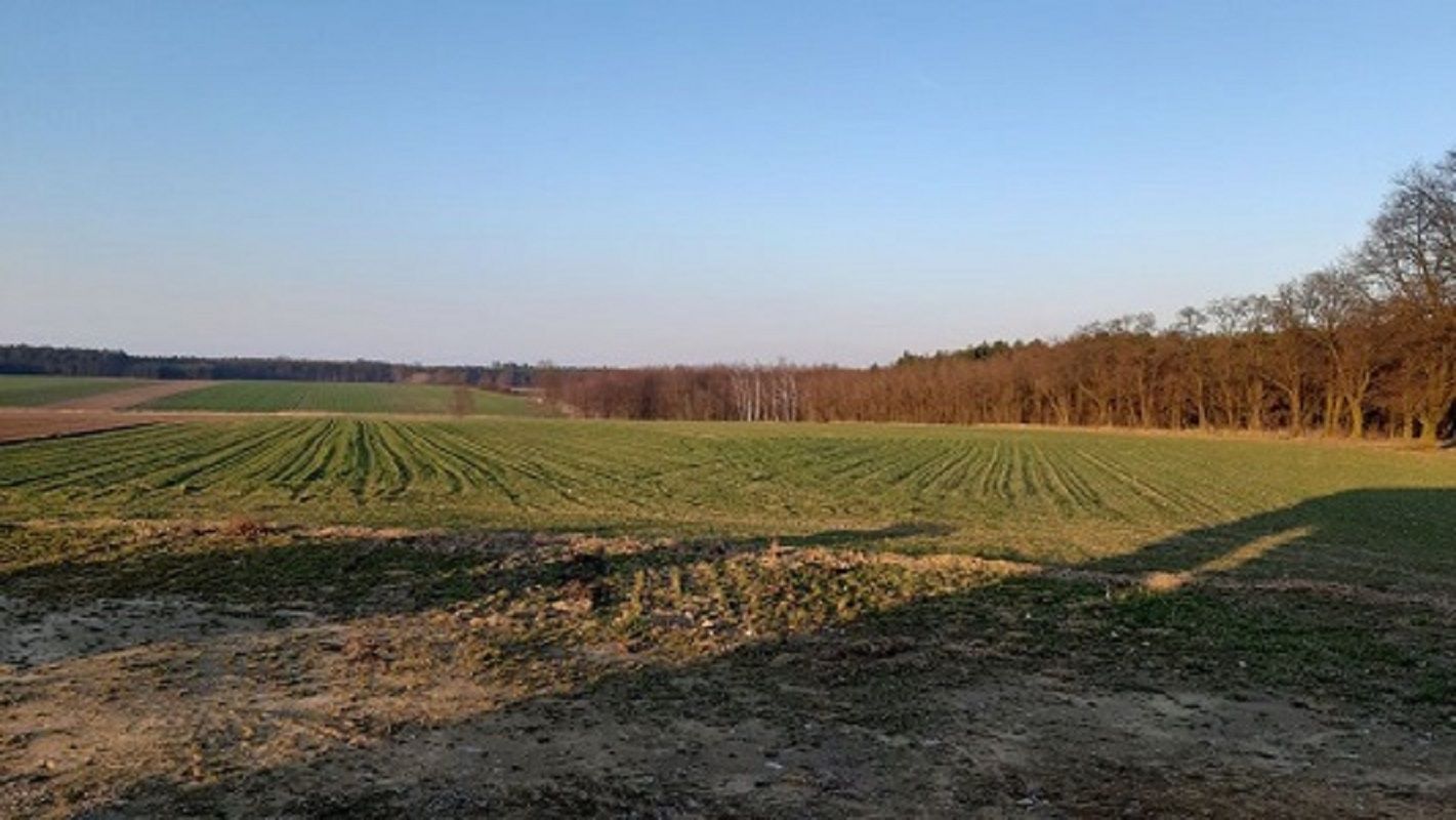 Działki budowlane od 970m2 i 999m2, Kamień Kamień - Zdjęcie 1