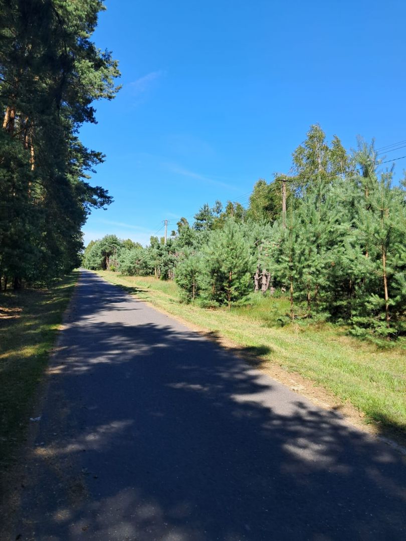 Działka budowlana o powierzchni 1686 m2, Prażuchy Nowe Nowe Prażuchy - Zdjęcie 1