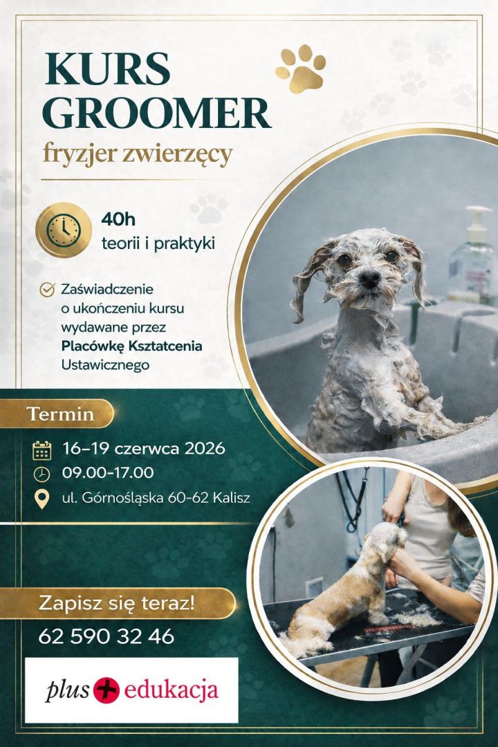 Kurs Groomer 40h Kalisz - Zdjęcie 1