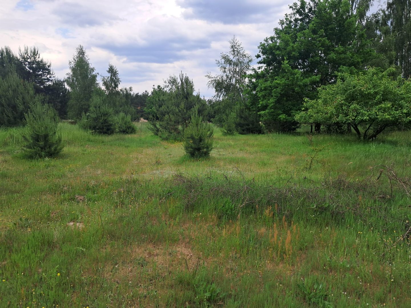 Działki budowlane w Planie ogólnym, 1040m2, Młynisko, gm. Koźminek Młynisko - Zdjęcie 1