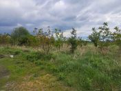 Działka budowlana z warunkami zabudowy o powierzchni 665m2, Kalisz