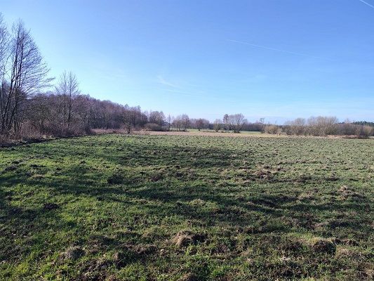 Działka budowlana o pow. 950m2, gm. Ceków Kol. Ceków - Zdjęcie 1