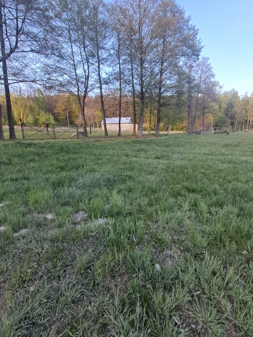Działka budowlana o powierzchni 3900m2, Stobno Wieś Stobno Wieś - Zdjęcie 1
