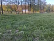 Działka budowlana o powierzchni 3900m2, Stobno Wieś