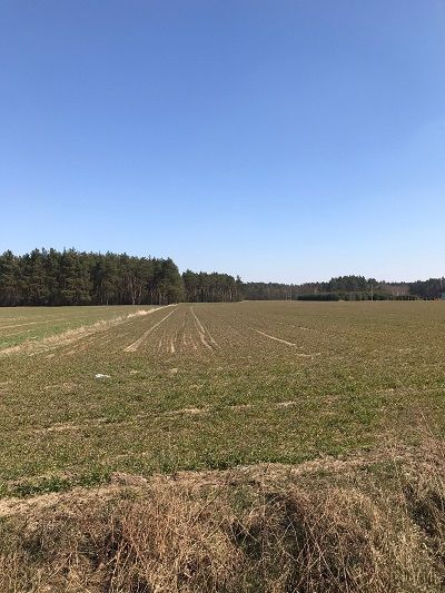 Działki budowlane o pow. 1200 i 1400 m2, gm. Ceków-Kolonia gm.Ceków-Kolonia - Zdjęcie 1