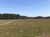 Działki budowlane o pow. 1200 i 1400 m2, gm. Ceków-Kolonia
