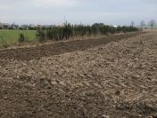 Działki z warunkami zabudowy – Żelazków, 10 km od Kalisza