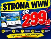 Profesjonalna wizytówka WWW za 299 zł