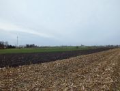 Działki blisko Stawiszyna od 1000m2