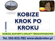 Szkolenie z raportu Kobize 2016, tel 502-032-782, raport Kobize szkolenia